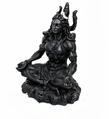 Shiva Idol | Meditation